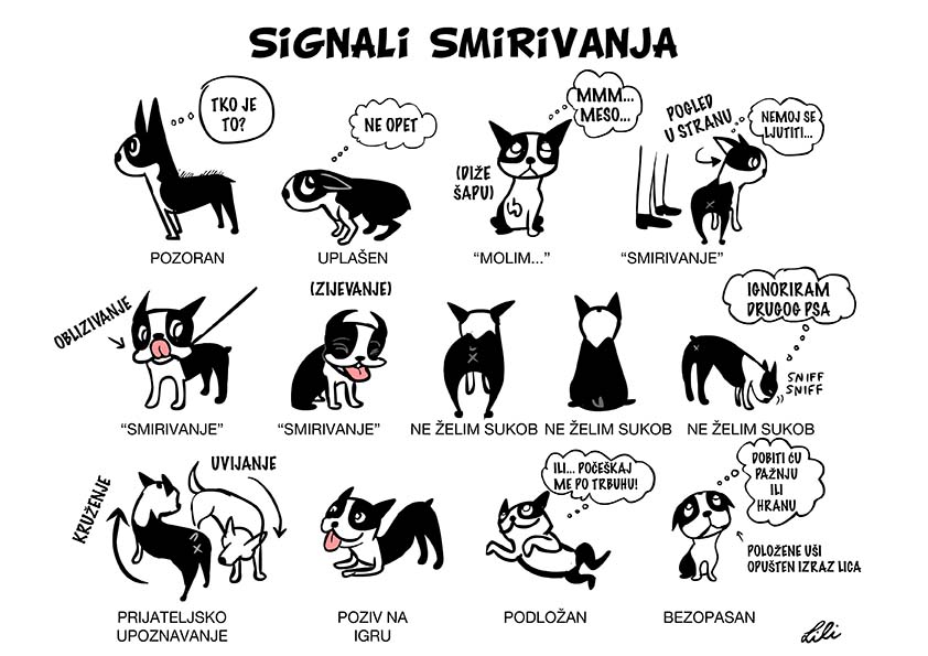 Signals